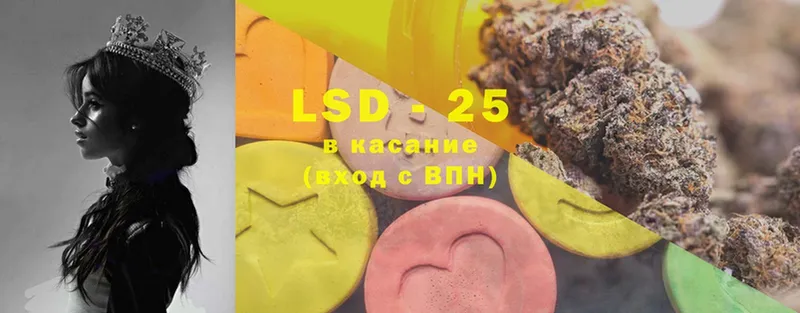 LSD-25 экстази кислота  купить  цена  Камышлов 